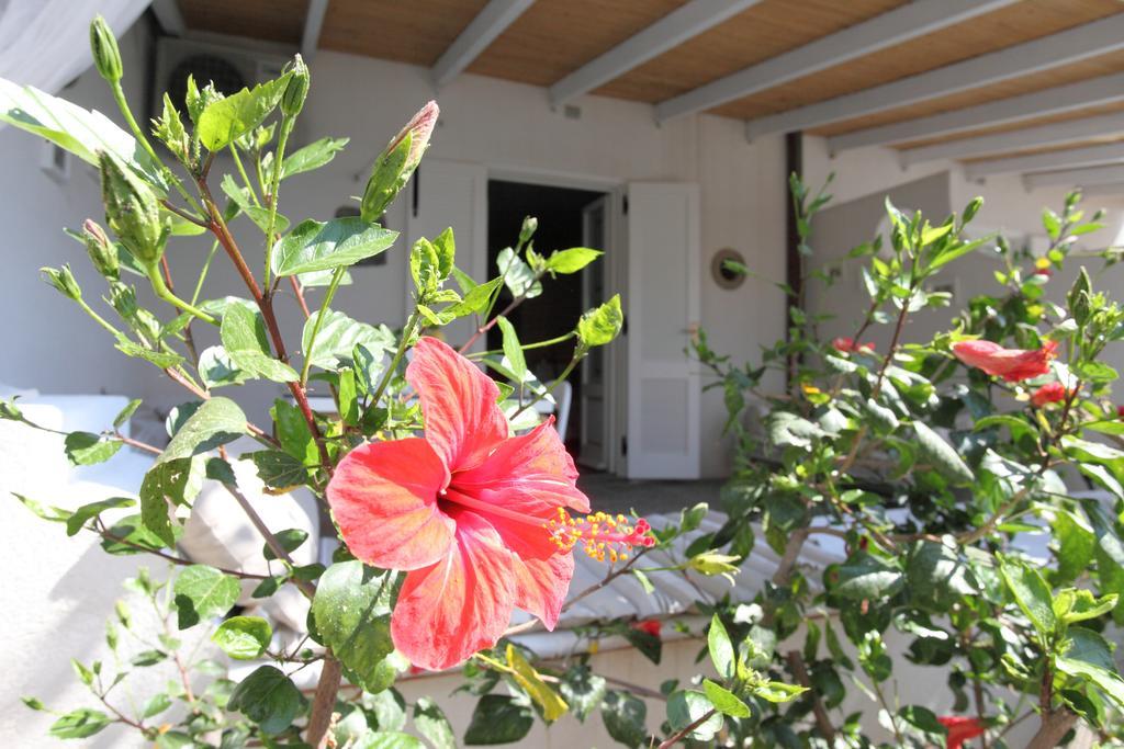 Villa Sea Rose ลีปารี ห้อง รูปภาพ
